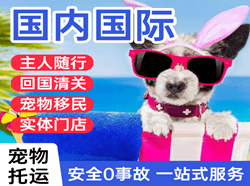 上海空运代理国际宠物托运 【国